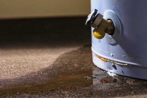 Best 24/7 water damage repair  in Brewerton, NY