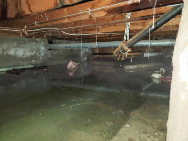 Best Water damage restoration company  in Brewerton, NY