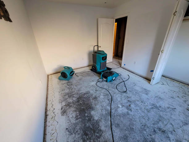 Best Water damage repair service  in Brewerton, NY