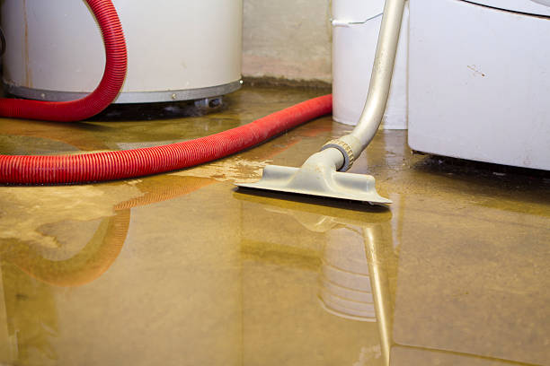 Best Mold removal after water damage  in Brewerton, NY