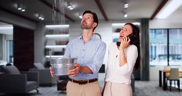 Best Water damage restoration near me  in Brewerton, NY