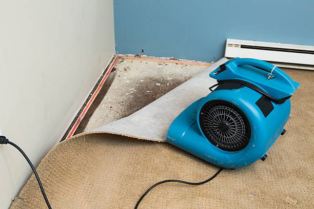 Best Flood restoration services  in Brewerton, NY